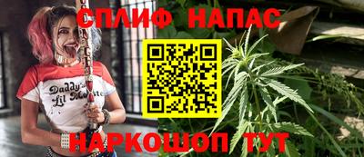 трава Кинель