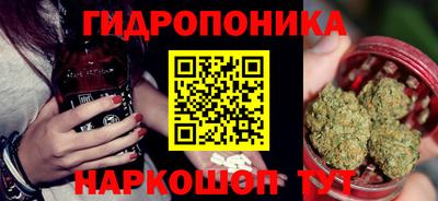 наркотики Кингисепп