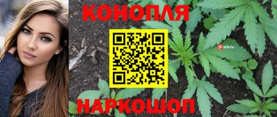 трава Кинель