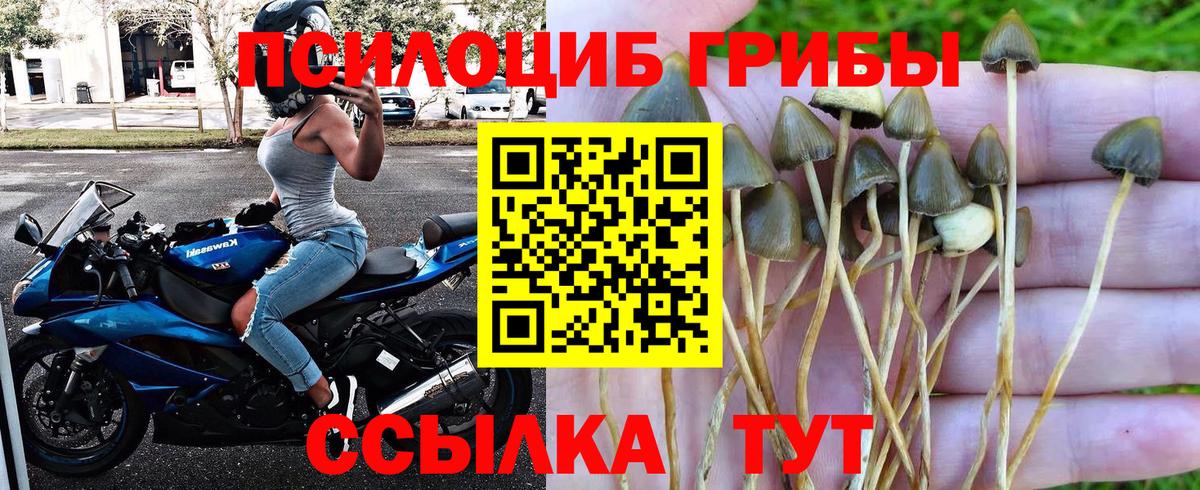 Галлюциногенные грибы мухоморы Комсомольск-на-Амуре